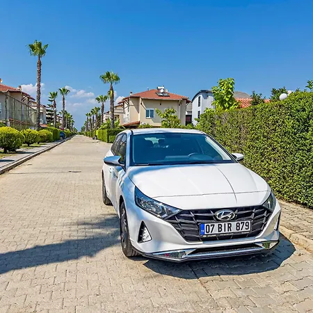 Paradise Town Elite 100 Mbps Free Wifi